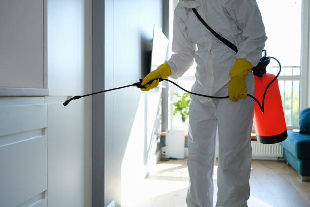 Best Biohazard Mold Removal  in Zephyrhills South, FL